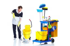 cleaning-service